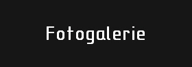 Fotogalerie